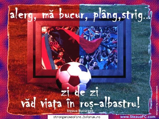 Poze STEAUA - david_andreescu - FC Steaua Bucuresti