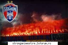 Poze STEAUA - david_andreescu - FC Steaua Bucuresti