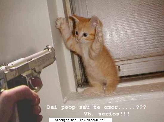 poze xsexy - l0rdul - Pozutze